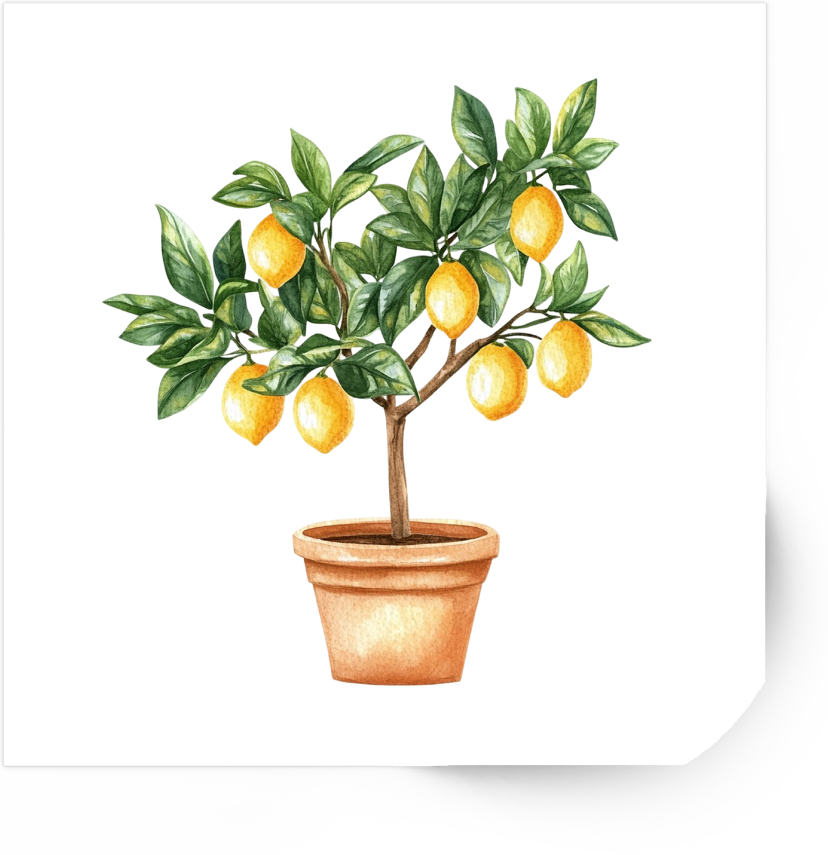 Watercolor Lemon Tree Sticker | Potted Citrus Plant Vinyl Decal | Kitchen Garden Gift