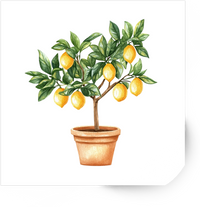Thumbnail for Watercolor Lemon Tree Sticker | Potted Citrus Plant Vinyl Decal | Kitchen Garden Gift