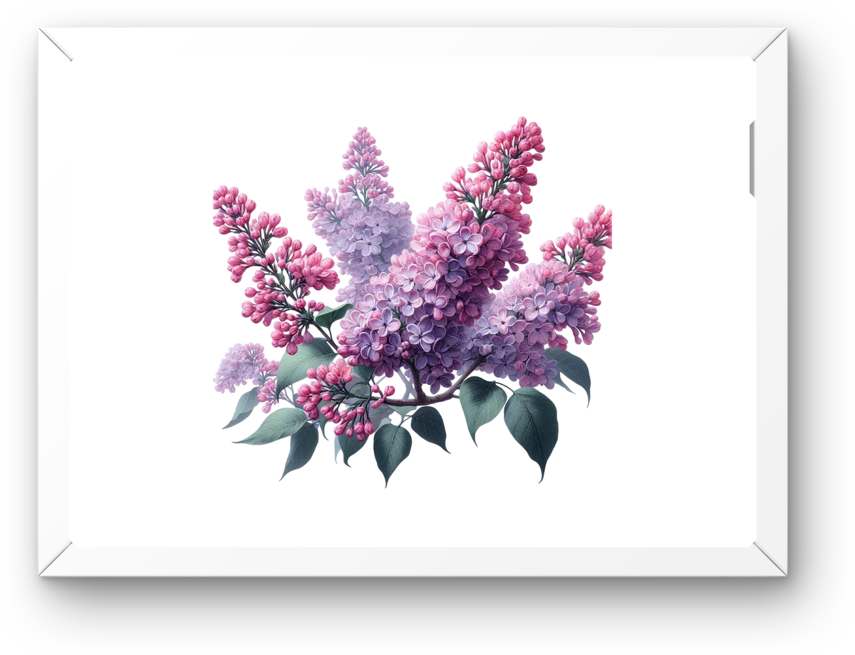 Lilac Blossom Wall Art | Watercolor Purple Floral Print | Botanical Spring Gift
