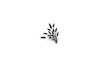 Thumbnail for Wheat Stalks Throw Pillow | Minimalist Botanical Silhouette Decorative Pillow | Farmhouse Decor Gift