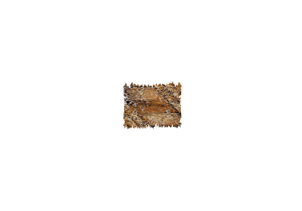 Rustic Leopard Wood Throw Pillow | Distressed Weathered Plank Decorative Pillow | Farmhouse Cabin Gift