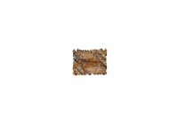 Thumbnail for Rustic Leopard Wood Throw Pillow | Distressed Weathered Plank Decorative Pillow | Farmhouse Cabin Gift